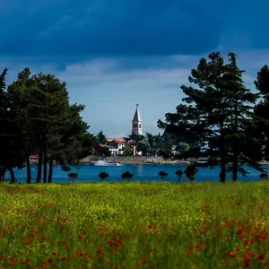 https://belvedere-holidays-villas.in-istria.net